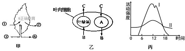 www.xiangpi.com