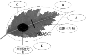 www.xiangpi.com