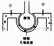 www.xiangpi.com