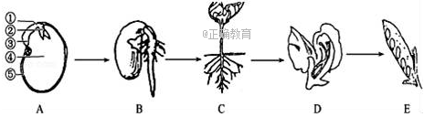 www.xiangpi.com