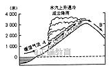 www.xiangpi.com