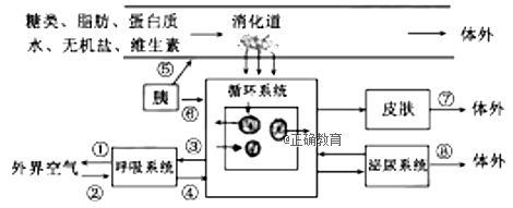 www.xiangpi.com