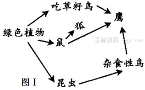 www.xiangpi.com