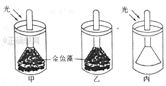 www.xiangpi.com