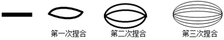 www.xiangpi.com