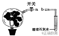 www.xiangpi.com