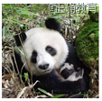 www.xiangpi.com
