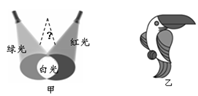 www.xiangpi.com