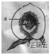 www.xiangpi.com
