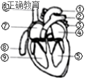 www.xiangpi.com