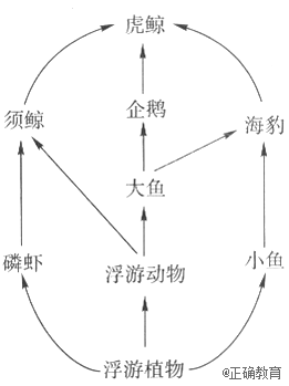 www.xiangpi.com