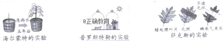 www.xiangpi.com