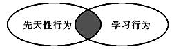 www.xiangpi.com