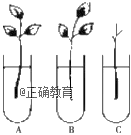 www.xiangpi.com