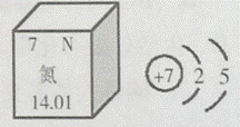 根据信息,氮元素的相对原子质量为