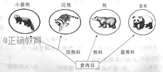www.xiangpi.com