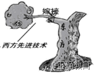 www.xiangpi.com