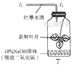 www.xiangpi.com