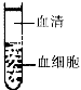 www.xiangpi.com