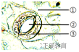 www.xiangpi.com