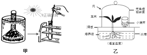 www.xiangpi.com
