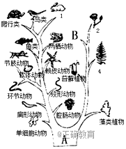 www.xiangpi.com
