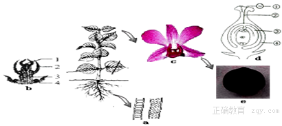 www.xiangpi.com