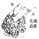 www.xiangpi.com