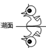 www.xiangpi.com
