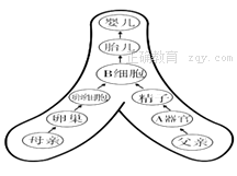 www.xiangpi.com