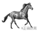 www.xiangpi.com