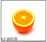 www.xiangpi.com