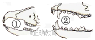 www.xiangpi.com
