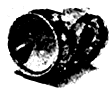 www.xiangpi.com