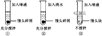 www.xiangpi.com