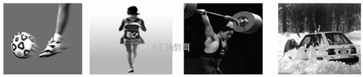 www.xiangpi.com
