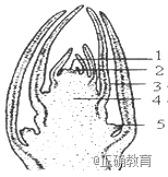 www.xiangpi.com