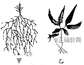 www.xiangpi.com