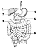 www.xiangpi.com