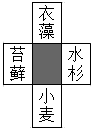 www.xiangpi.com
