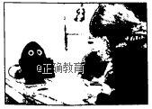 www.xiangpi.com