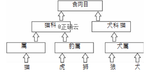 www.xiangpi.com