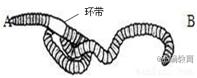 www.xiangpi.com