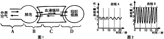 www.xiangpi.com