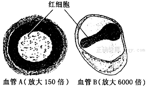 www.xiangpi.com