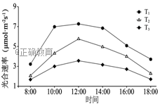 www.xiangpi.com