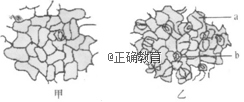 www.xiangpi.com