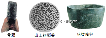 www.xiangpi.com