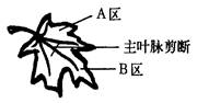 www.xiangpi.com