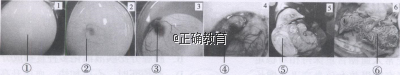 www.xiangpi.com